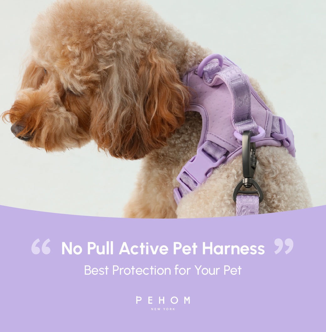 NO PULL ACTIVE  PET HARNESS - MINT PURPLE