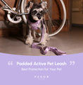 Load image into Gallery viewer, PADDED  ACTIVE  PET LEASH  - MINT PURPLE
