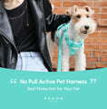 Load image into Gallery viewer, NO PULL ACTIVE  PET HARNESS - MINT GREEN
