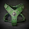 Load image into Gallery viewer, The ''Eros'' harness Green Small to Medium Size
