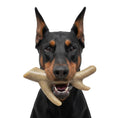 Load image into Gallery viewer, Ever Antler Nylon Chew Bone | Elk Antler Shaped Dog Toy for Aggressive Chewers | SodaPup
