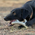 Load image into Gallery viewer, Ever Antler Nylon Chew Bone | Elk Antler Shaped Dog Toy for Aggressive Chewers | SodaPup
