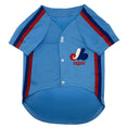 Load image into Gallery viewer, MLB Montreal Expos Throwback Dog Jersey
