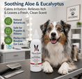 Load image into Gallery viewer, Southlake Paws Instant Ear Cleaner for Dogs, 4 oz or 12 oz, with soothing aloe and eucalyptus, removes wax and odor.
