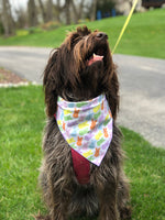 Easter Peeps Bunny Bandana
