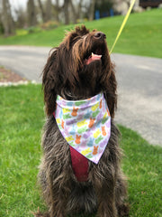 Easter Peeps Bunny Bandana