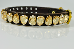 Easy Liz Dog Collar Golden Shadow