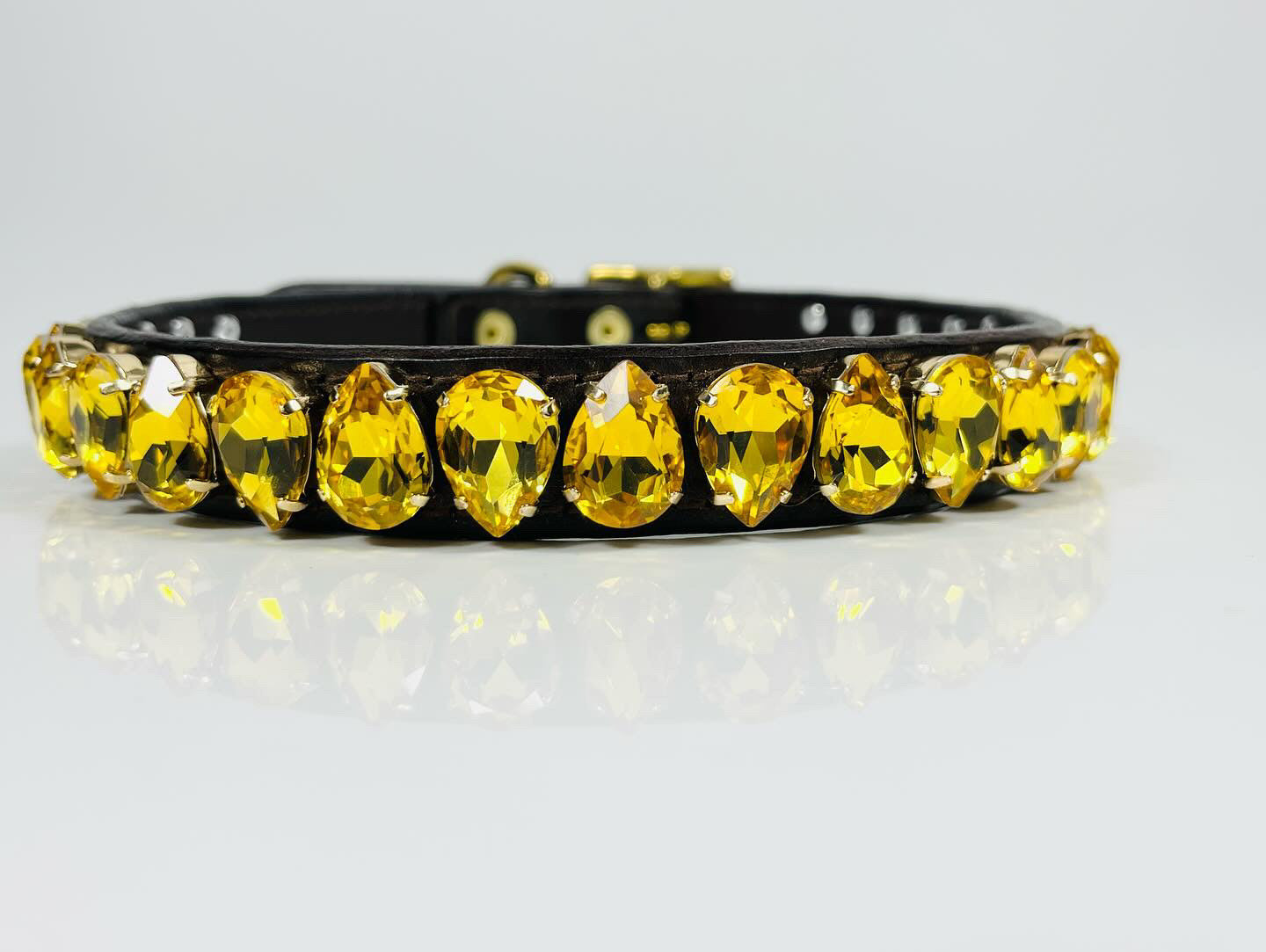 Easy Liz Dog Collar in Light Topaz