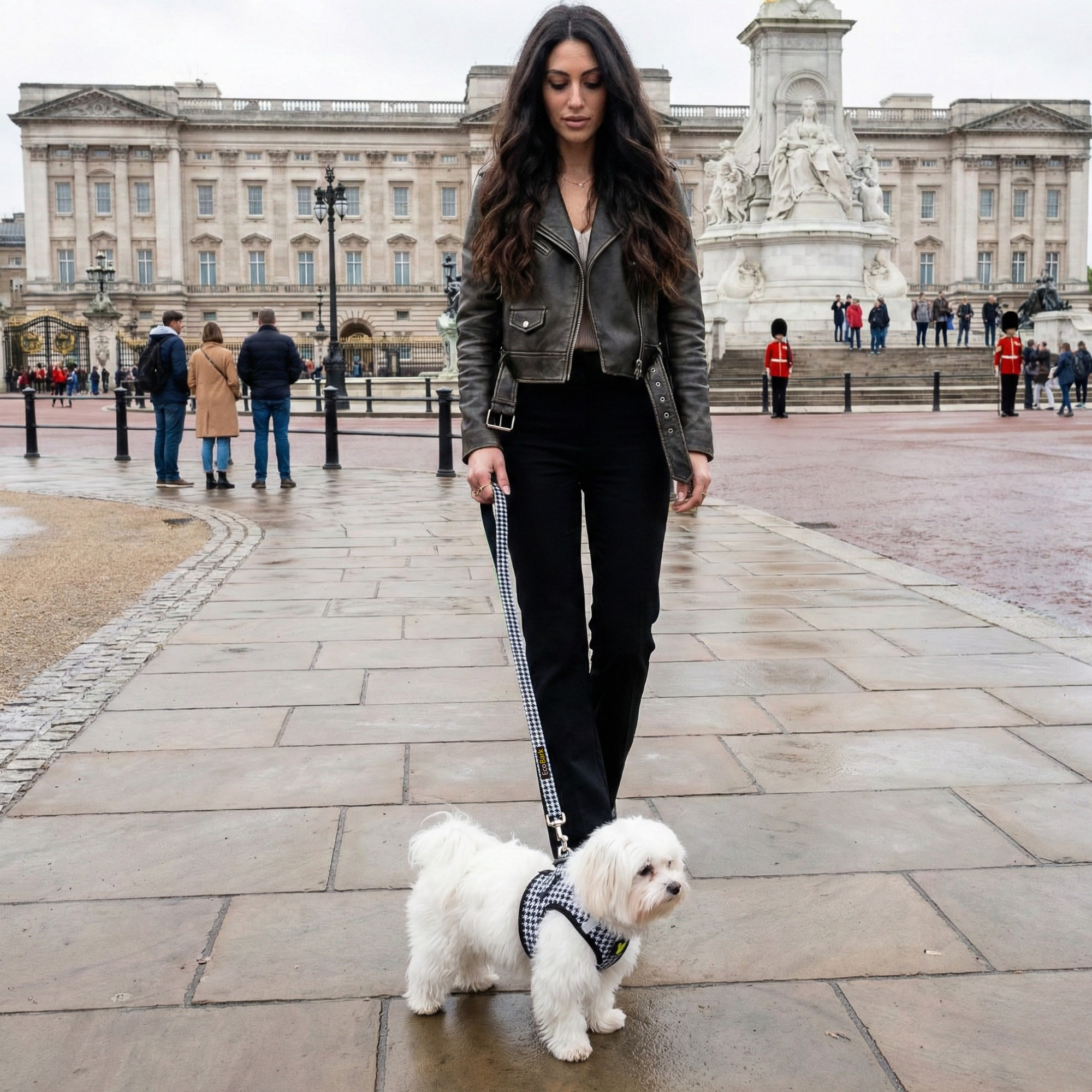 Southlake Paws EcoBark Houndstooth Dog Leash in use, featuring a woman walking a small white dog at a historic location.