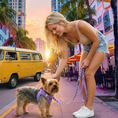 Load image into Gallery viewer, EcoBark Step In Dog Harness - XXXS to Small Breeds- Reflective Soft Mesh Harness for Teacup, Small Dogs and Puppies / Lavender
