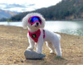 Load image into Gallery viewer, EcoBark Pink Dog Harness - Over-the-Head Soft Mesh Dog Vest Halter for Small to Medium Dogs and Puppies
