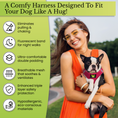 Load image into Gallery viewer, EcoBark Step In Dog Harness - XXXS to Small Breeds- Reflective Soft Mesh Harness for Teacup, Small Dogs and Puppies / Hot Pink
