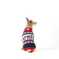 Load image into Gallery viewer, Fab Ski Après Sweater - Southlake Paws
