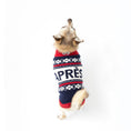 Load image into Gallery viewer, Fab Ski Après Sweater - Southlake Paws
