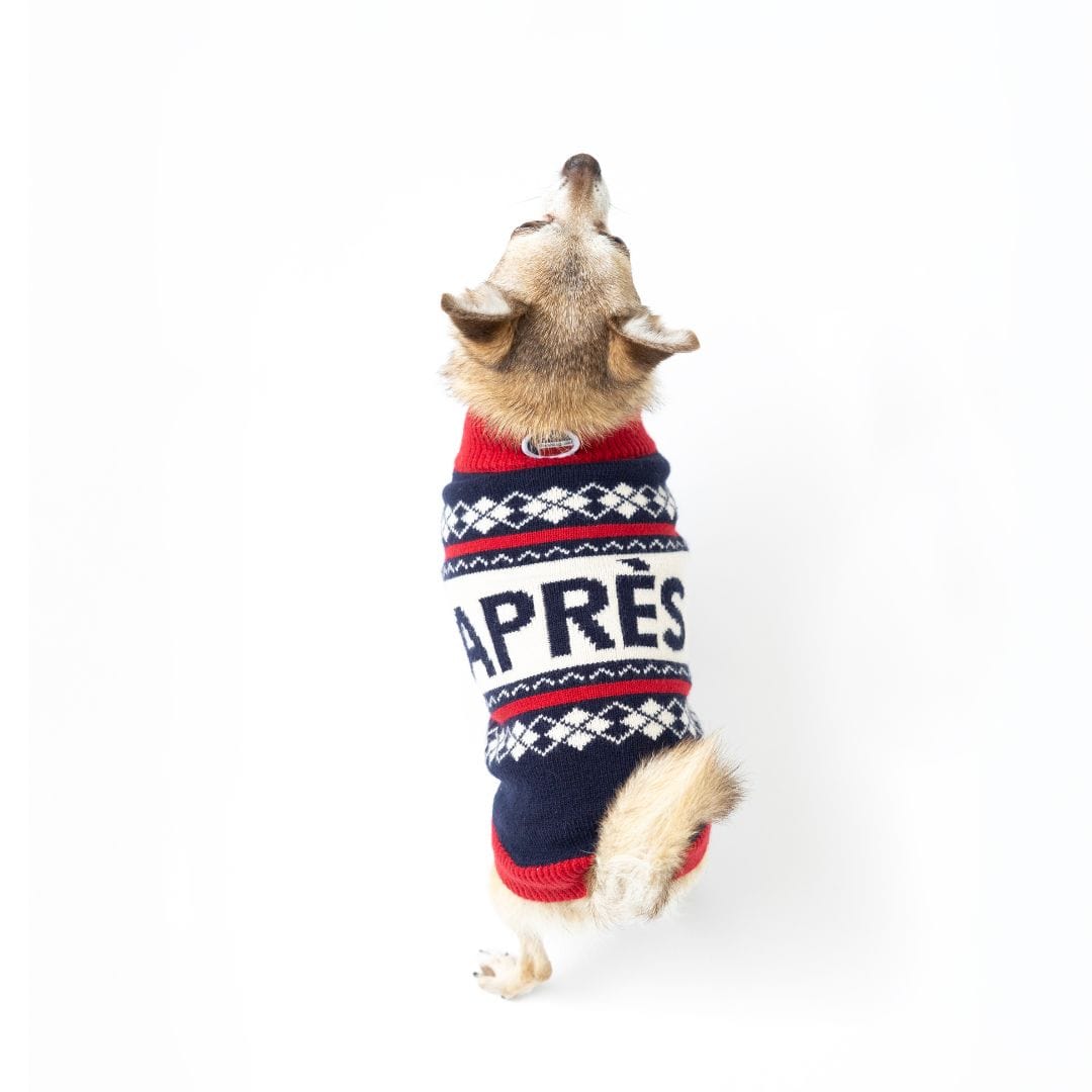 Fab Ski Après Sweater - Southlake Paws