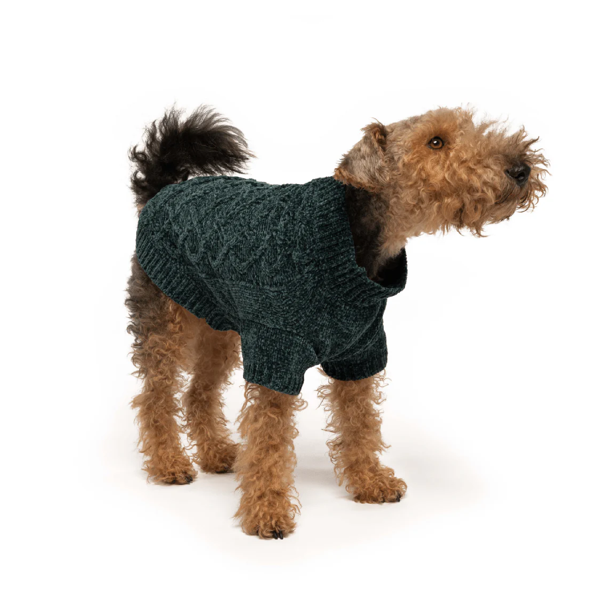 Emerald Chenille Sweater - Southlake Paws