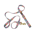 Load image into Gallery viewer, Emery Dog Leash
