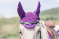 Load image into Gallery viewer, Purple Amethyst Fly Hat
