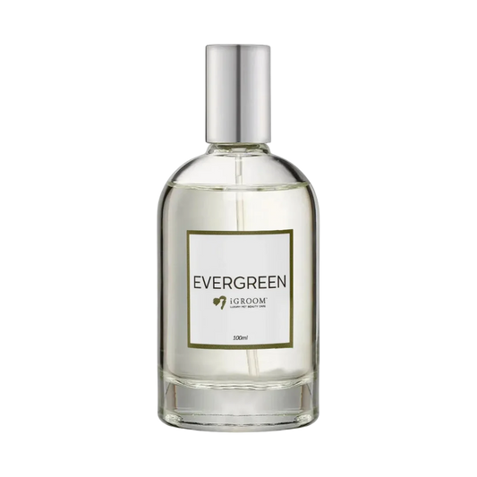 Evergreen Perfume 100ml by iGroom