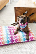 Load image into Gallery viewer, Everly Dog Bed
