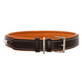 Load image into Gallery viewer, ExionPro Silver Clincher Padded Leather Dog Collar - Conker Padding
