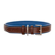 ExionPro Fancy Stitched Padded Leather Dog Collar - Blue Padding