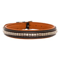 Load image into Gallery viewer, ExionPro Silver Clincher Padded Leather Dog Collar - Conker Padding
