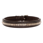 ExionPro Silver Clincher Padded Leather Dog Collar - Brown Padding