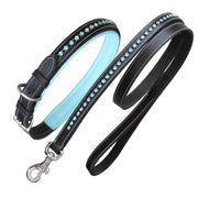 ExionPro Blue Bling Dog Collar With Leash