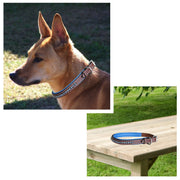 ExionPro Dark Blue Bling Dog Collar With Leash