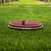 ExionPro Silver Clincher Padded Leather Dog Collar - Pink Padding