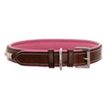 Load image into Gallery viewer, ExionPro Silver Clincher Padded Leather Dog Collar - Pink Padding
