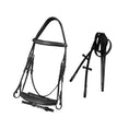 Load image into Gallery viewer, ExionPro Designer Fancy Stitched Bridle with Flash and Rubber Reins
