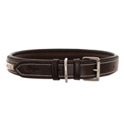 ExionPro Silver Clincher Padded Leather Dog Collar - Brown Padding
