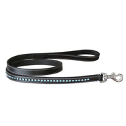 ExionPro Blue Bling Dog Leash