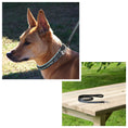 Load image into Gallery viewer, ExionPro Blue Bling Dog Leash
