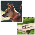 Load image into Gallery viewer, ExionPro Red Bling Padded Dog Leash
