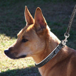 ExionPro Black Bling Dog Leash