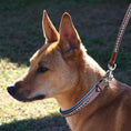 Load image into Gallery viewer, ExionPro Dark Blue Bling Dog Collar
