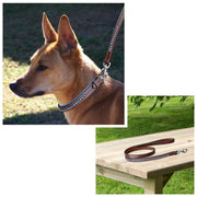 ExionPro Dark Blue Bling Dog Leash