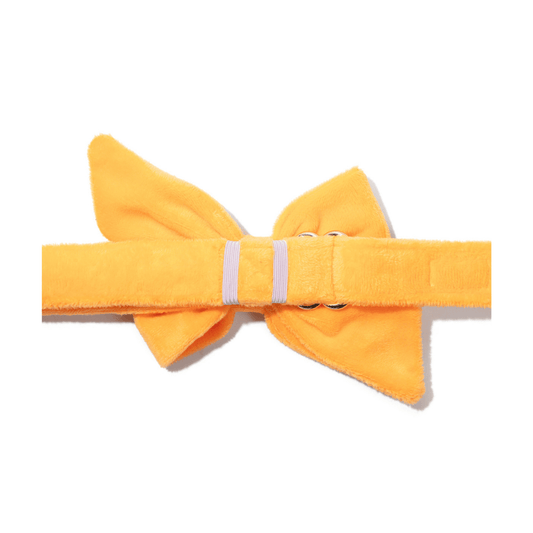 Ezra Dog Babe Bow