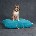 Load image into Gallery viewer, Aqua Washable Velvet Dog Bed
