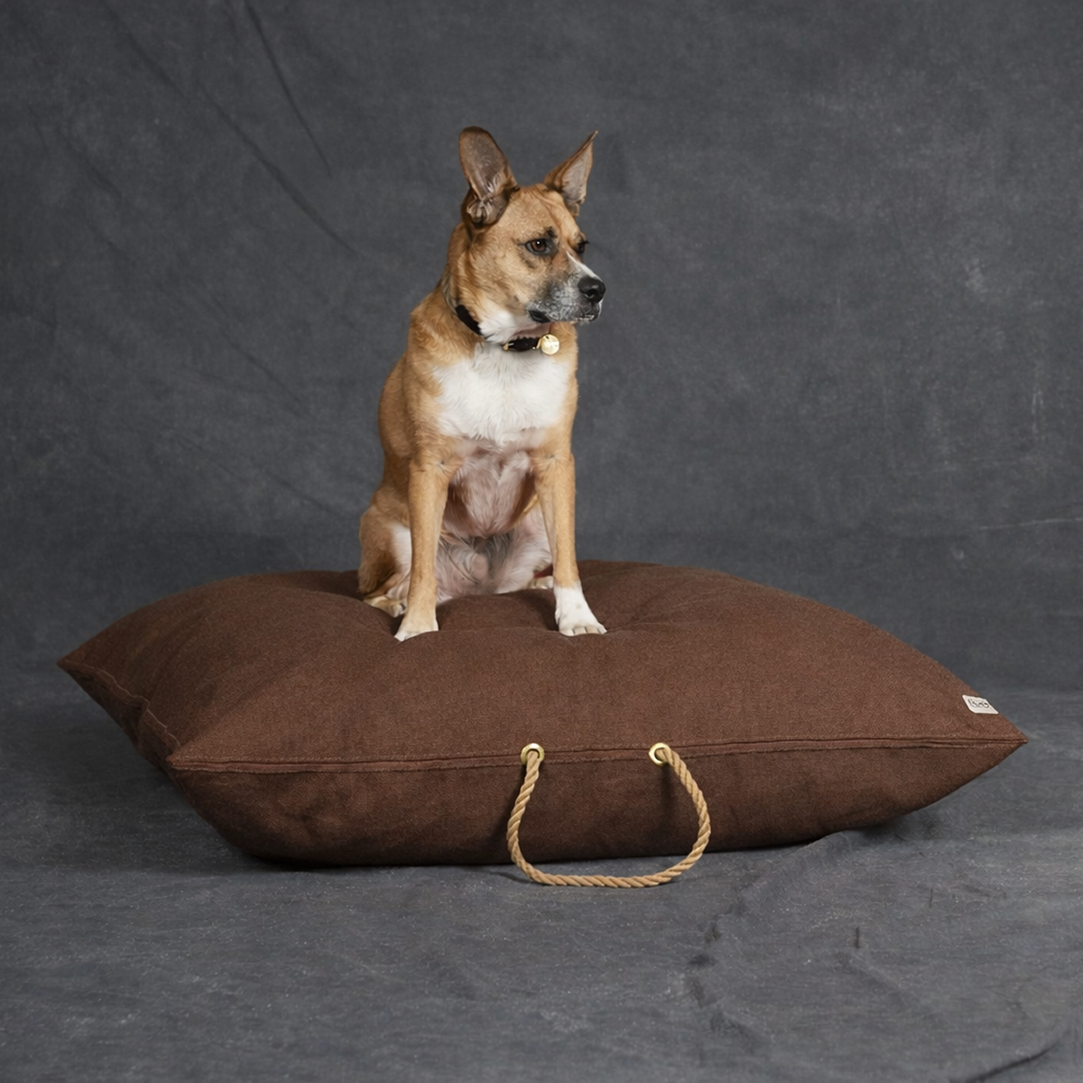 Cinnamon Waxed Cotton Canvas Dog Bed - image 3