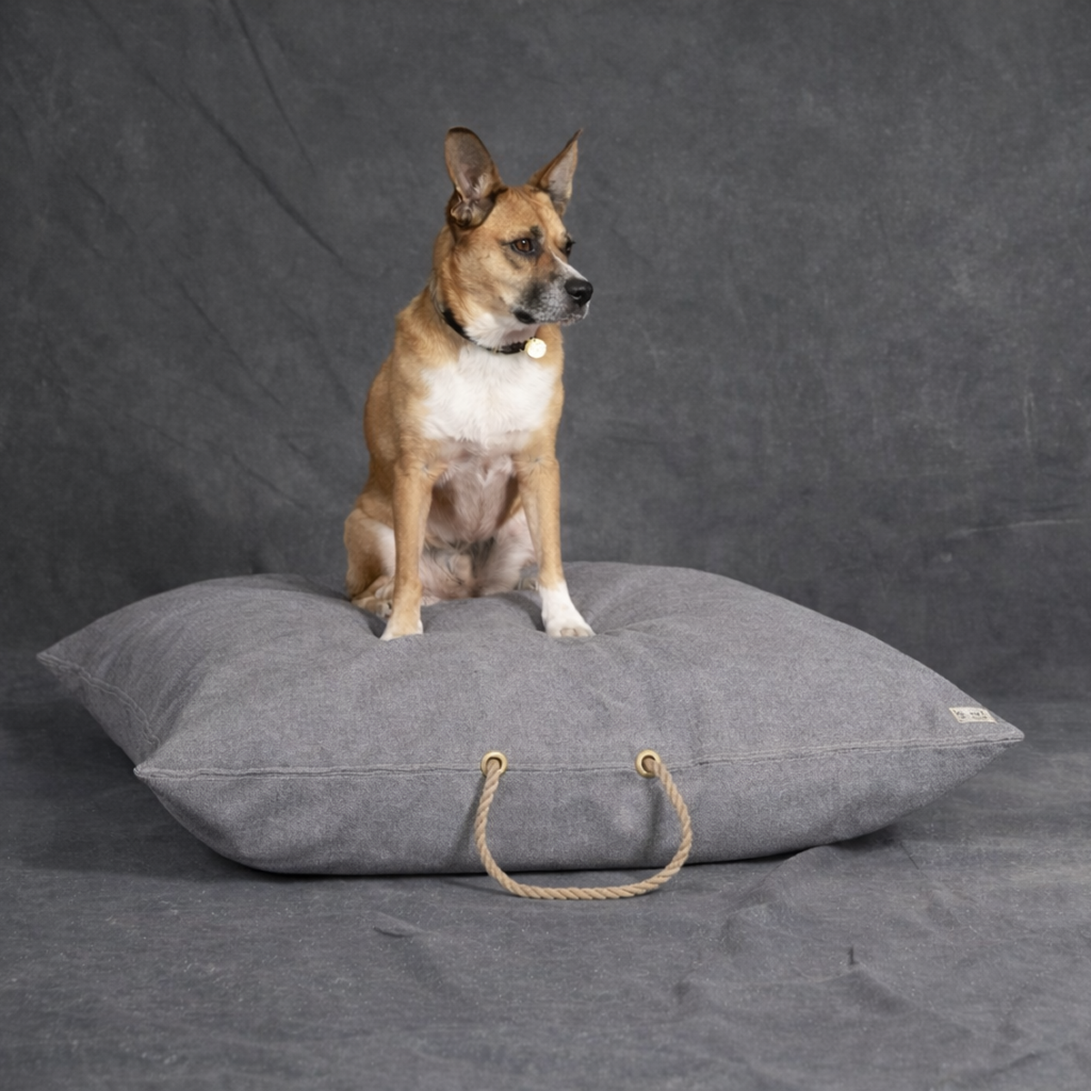 Gray Waxed Cotton Canvas Dog Bed - image 3