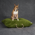 Load image into Gallery viewer, Moss Washable Velvet Dog Bed
