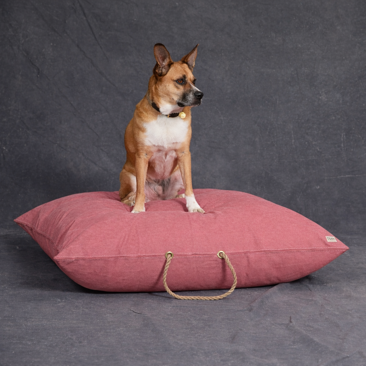 Nantucket Waxed Cotton Canvas Dog Bed - image 3