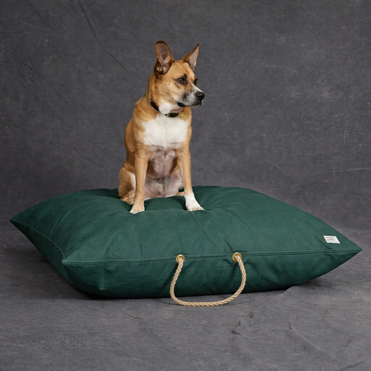 Pine Waxed Cotton Canvas Dog Bed - image 3