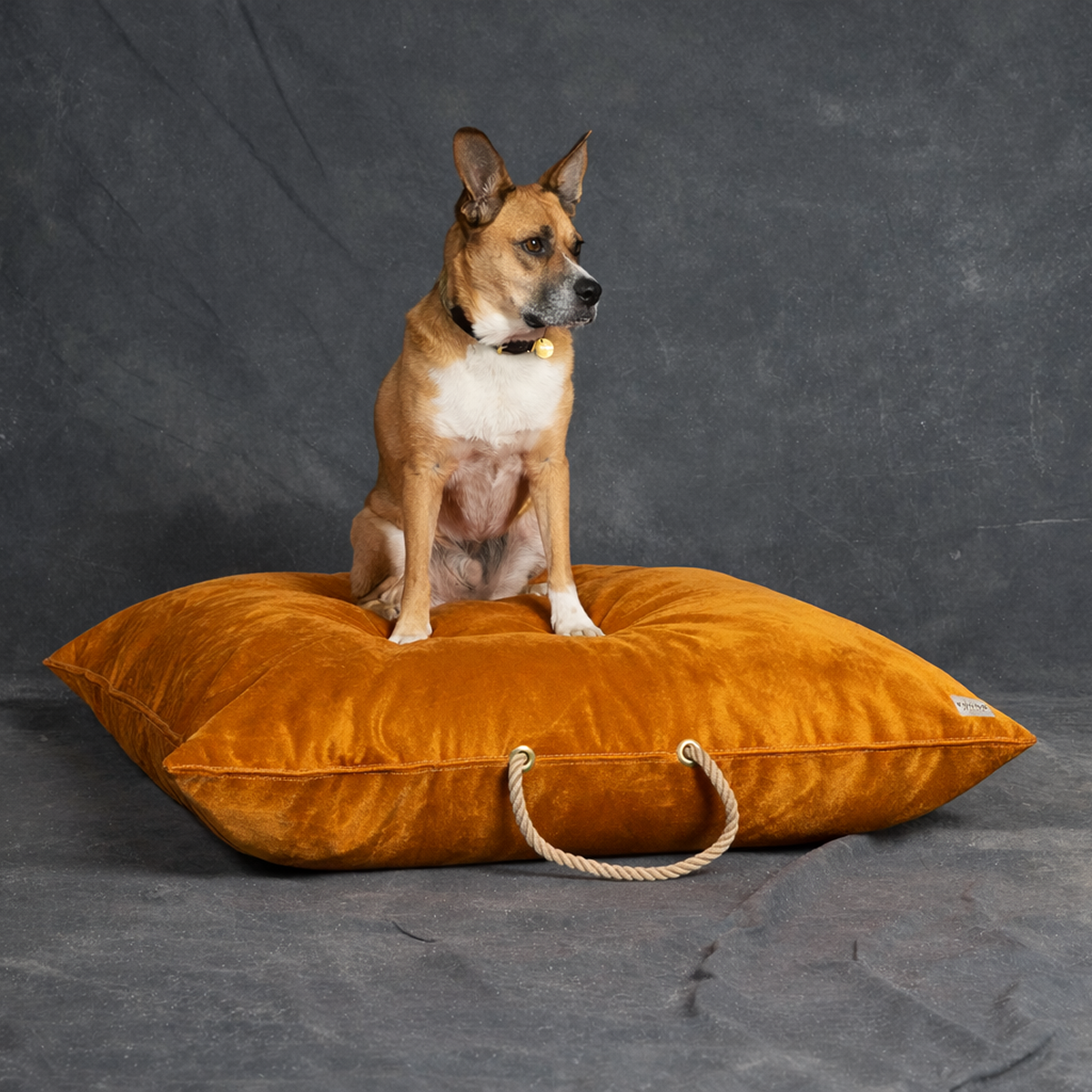 Found My Animal Ochre Velvet Dog Bed - image 3