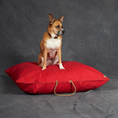Load image into Gallery viewer, Red Washable Velvet Dog Bed
