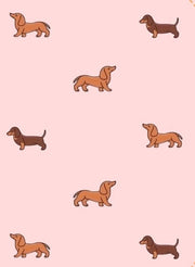 Personalized Car Blanket